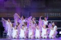 WP2019 DC 262